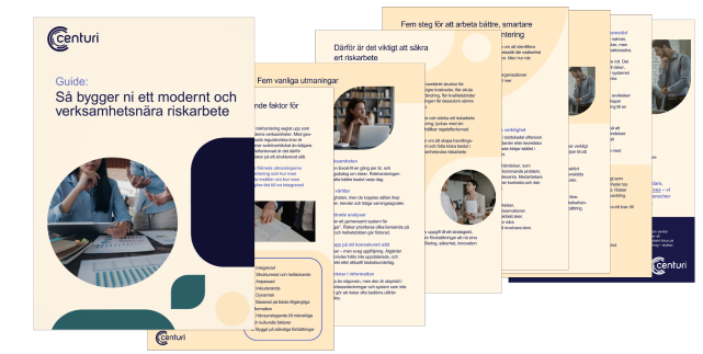 Preview - Guide Riskhantering
