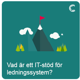 bild från guiden IT-stöd för ledningssystem